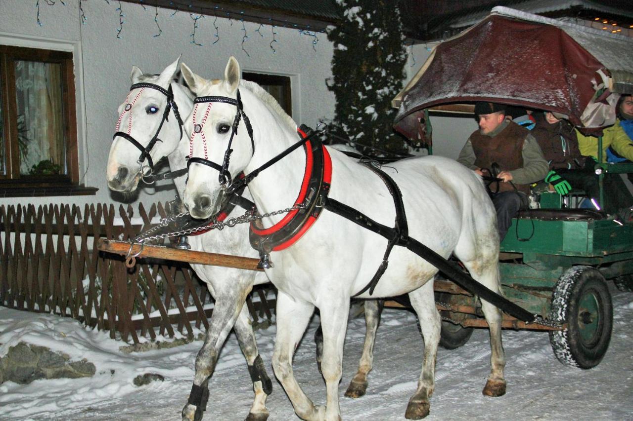 U Sarapatki-Noclegi Z Wyzywieniem Jurgów Exterior foto